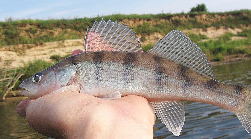 nachytano.cz